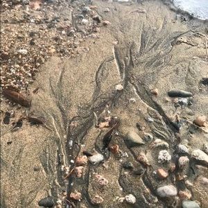 Faith ,family ,friends , especially furry ones !